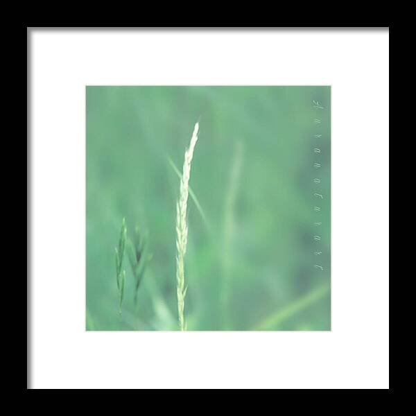 Love Framed Print featuring the photograph Hivern 7 by Auranatura Art