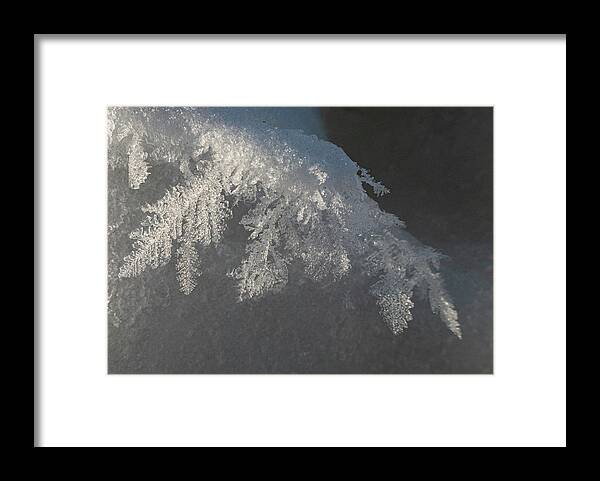 Frost Framed Print featuring the photograph Hoar Frost Feathers by Phil And Karen Rispin