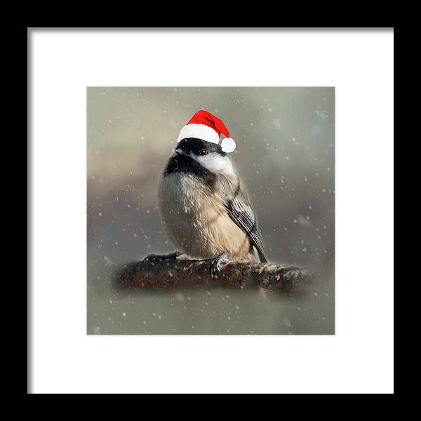 Song Bird Framed Print featuring the photograph Holiday Chicadee by Cathy Kovarik