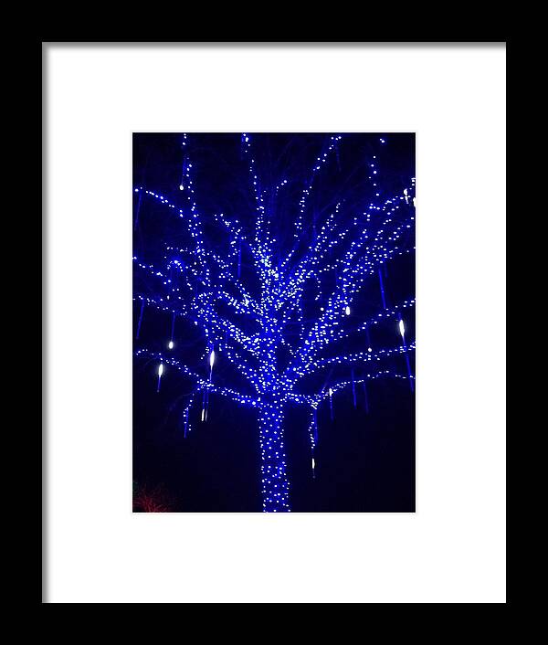 Holiday Framed Print featuring the photograph Holiday Tree by Brenna Woods