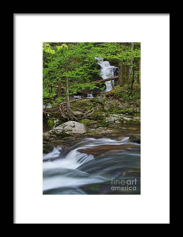 Honey Cove Falls Framed Print featuring the photograph Honey Cove Falls 3 by Phil Perkins