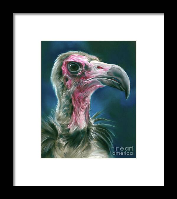 Bird Framed Print featuring the painting Hooded Vulture Scavenger Bird Portrait by MM Anderson