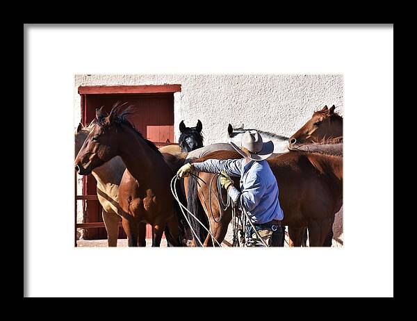 Cowboy Art Framed Print featuring the photograph Hoolihan by Alden White Ballard