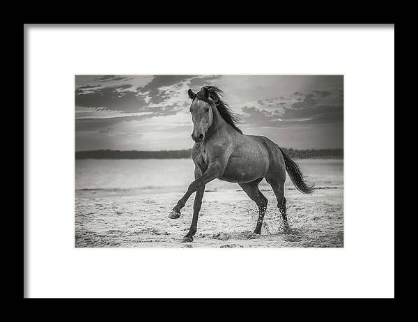 Photographs Framed Print featuring the photograph Hop Skip II - Horse Art by Lisa Saint
