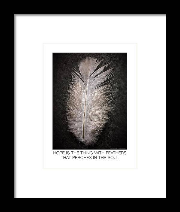 Feather Framed Print featuring the digital art Hope Is the Thing With Feathers by Gail Marten