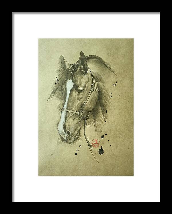 Drawing Framed Print featuring the drawing Horse #22531 by Hongtao Huang
