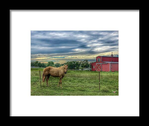 Country Framed Print featuring the photograph Horse and Barn by Pam Rendall