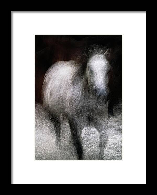 Landscape Framed Print featuring the photograph Horse by Grant Galbraith