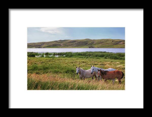 Horses Framed Print featuring the photograph Horses at Beem Lake - Sandhills Journey by Susan Rissi Tregoning
