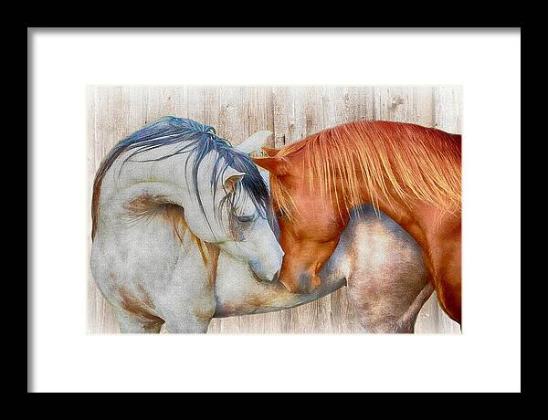 Nuzzling Horses Framed Print featuring the digital art Horses Nuzzling Soft Colors by Steve Ladner