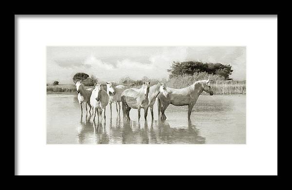 Horse Framed Print featuring the photograph Wild Horses Resting by Karen Lynch