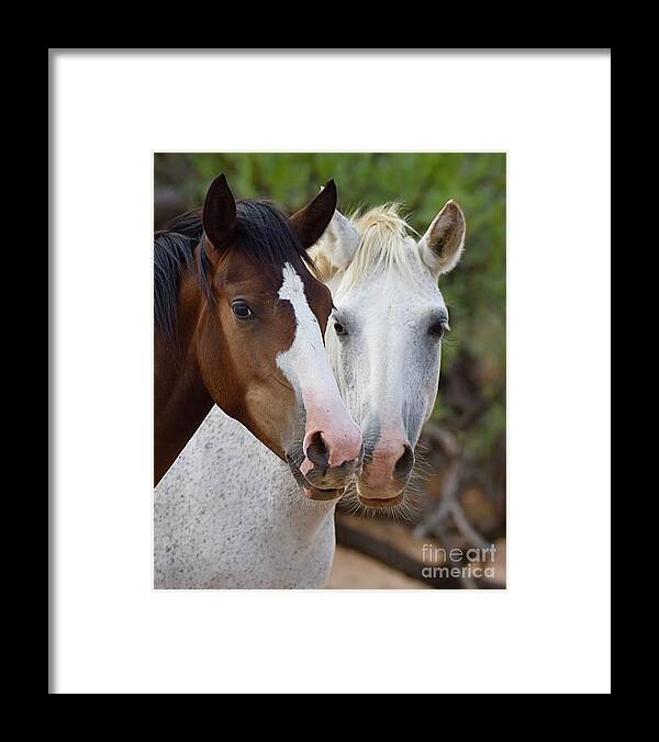 Salt River Wild Horses Framed Print featuring the digital art Hot to Trot by Tammy Keyes