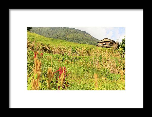 Nepal Framed Print featuring the photograph How Green Was My Valley by Josu Ozkaritz