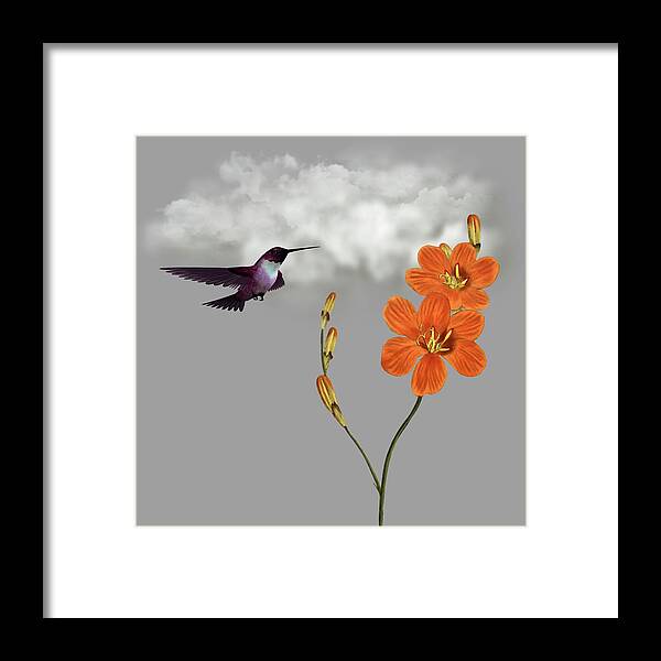 Hummingbird Framed Print featuring the digital art Hummingbird in the Garden Pane 2 by David Dehner