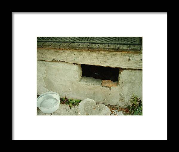 New Orleans Framed Print featuring the photograph Hurricane Katrina Series - 22 by Christopher Lotito