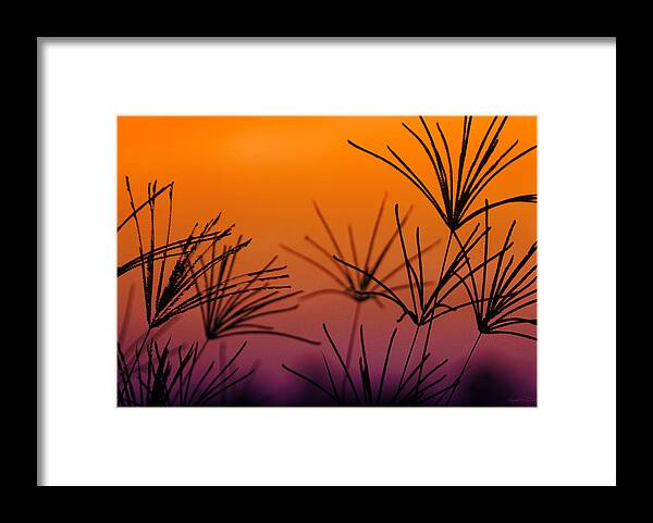 Nature Framed Print featuring the photograph I Love a Sunburnt Country by Holly Kempe