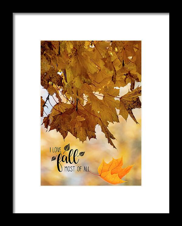 Autumn Framed Print featuring the photograph I Love Fall by Cathy Kovarik