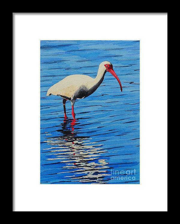 Ibis Framed Print featuring the painting Ibis by John W Walker