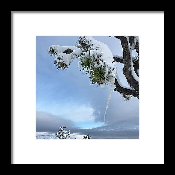 Joshua Tree Framed Print featuring the photograph Icicle by Perry Hoffman