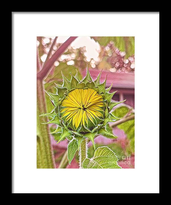 Flower Framed Print featuring the photograph Imagined Sun by Reena Kapoor