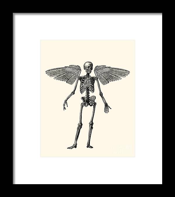 Skeleton Framed Print featuring the digital art Immortality Skeleton by Madame Memento