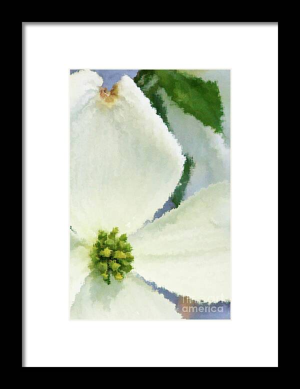 Dogwood; Dogwood Blossom; Blossom; Flower; Impressionist; Macro; Close Up; Petals; Green; White; Blue; Calm; Square; Pastel; Leaves; Tree; Branches Framed Print featuring the digital art Impression Dogwood 4 by Tina Uihlein