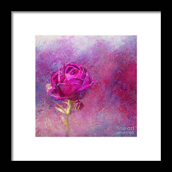 Rose Framed Print featuring the photograph Impressionist Rose by Eva Lechner