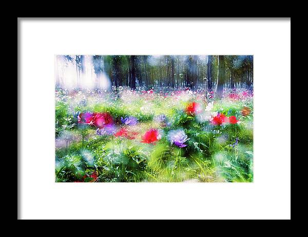 Impressionistic Framed Print featuring the photograph Anemones in Megiddo 2 by Dubi Roman