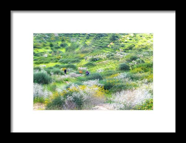 Impressionistic Photography Framed Print featuring the photograph Impressions of Ness Ziona Hills 1 by Dubi Roman