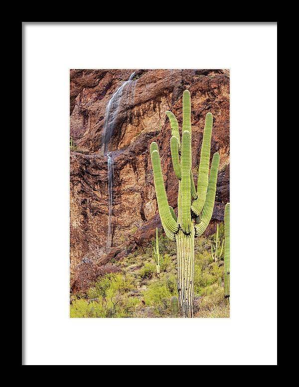 Artistic Framed Print featuring the photograph In a Dry and Thirsty Land by Rick Furmanek