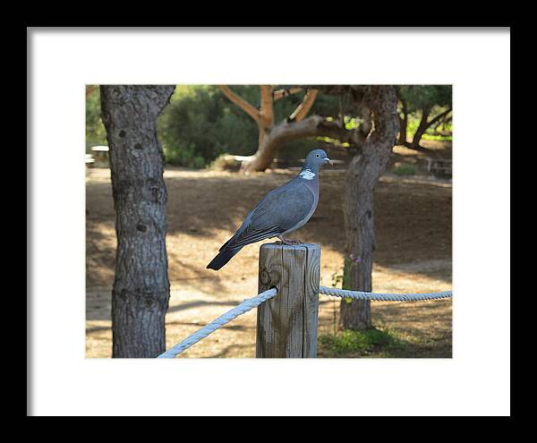  Framed Print featuring the photograph In and around Menorca 4 by Petra Rau