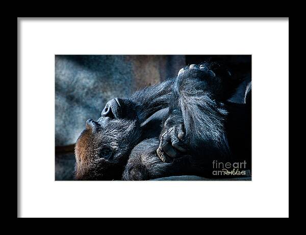 Animals Framed Print featuring the photograph In Deep Thought by David Levin