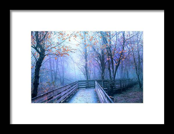 Carolina Framed Print featuring the photograph In the Blue of the Evening Woodlands by Debra and Dave Vanderlaan