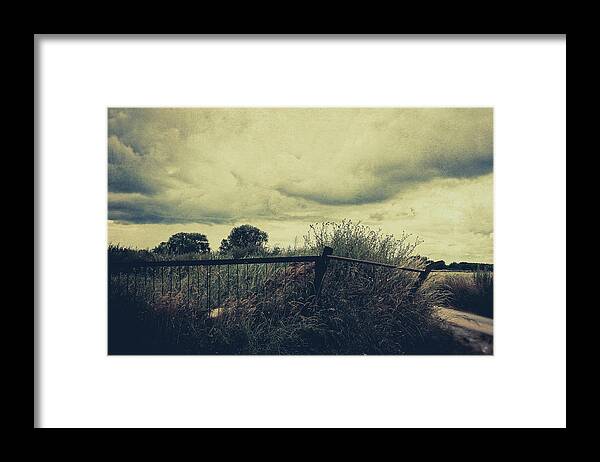 Land Framed Print featuring the photograph In the countryside by Yasmina Baggili