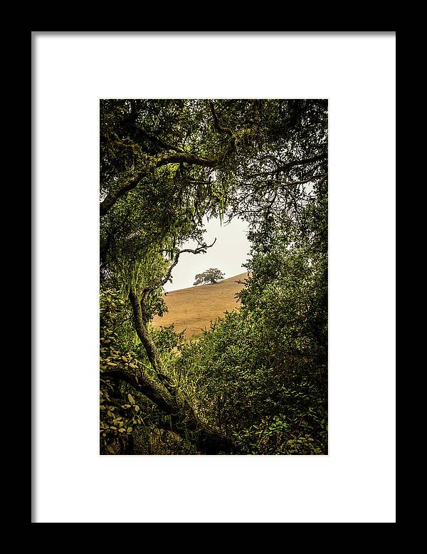 Green Framed Print featuring the photograph In the Eye of the Beholder by Jason Roberts