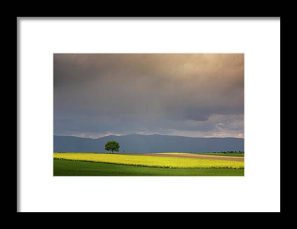 Rapeseed Framed Print featuring the photograph In the light of spring by Dominique Dubied