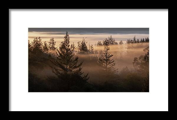 Mist Framed Print featuring the photograph In the Mist by Shelby Erickson