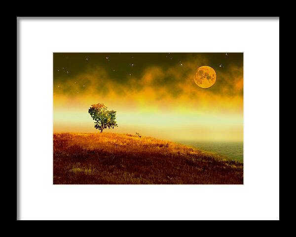 Landscape Framed Print featuring the photograph In the Stillness of Night by Holly Kempe