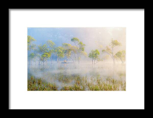 Swamp Framed Print featuring the photograph In The Swamp by Khanh Bui Phu