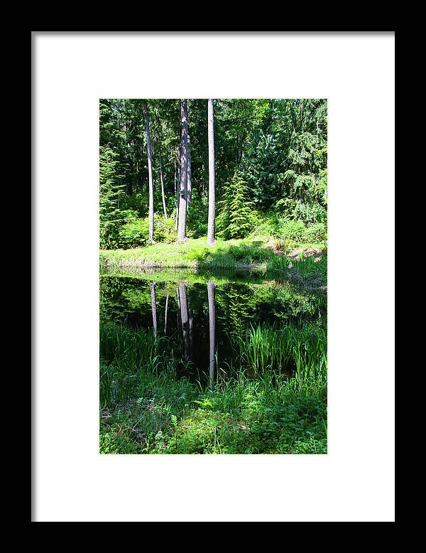 Hike Framed Print featuring the photograph In the trees by Leslie Struxness