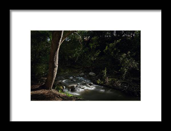 Hellyer County Park Framed Print featuring the photograph In Times of Trouble by Laurie Search