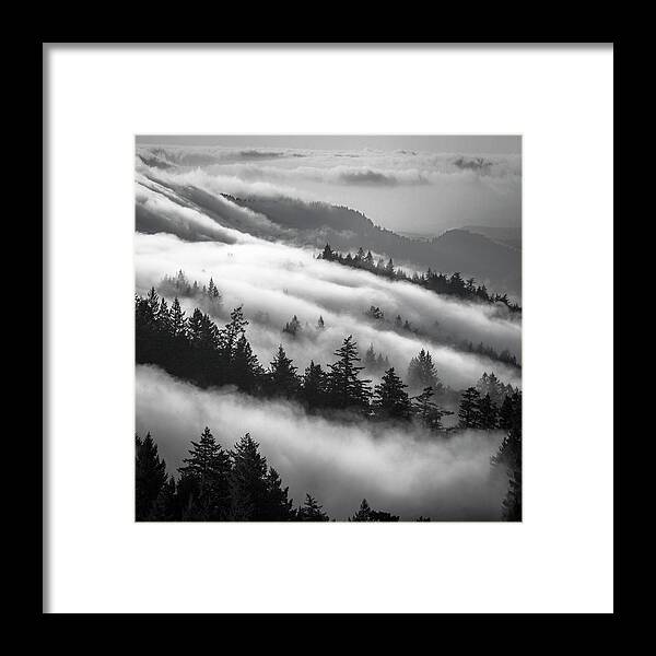 Incoming Fog Framed Print featuring the photograph Incoming fog, Mt. Tamalpais by Donald Kinney