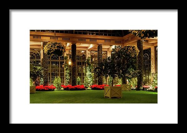 Christmas Tree Framed Print featuring the photograph Indoor Christmas Decerations by Louis Dallara