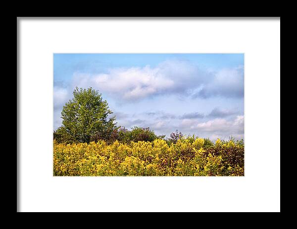 Fall Framed Print featuring the photograph Infinite Gold Sunlight Landscape by Christina Rollo