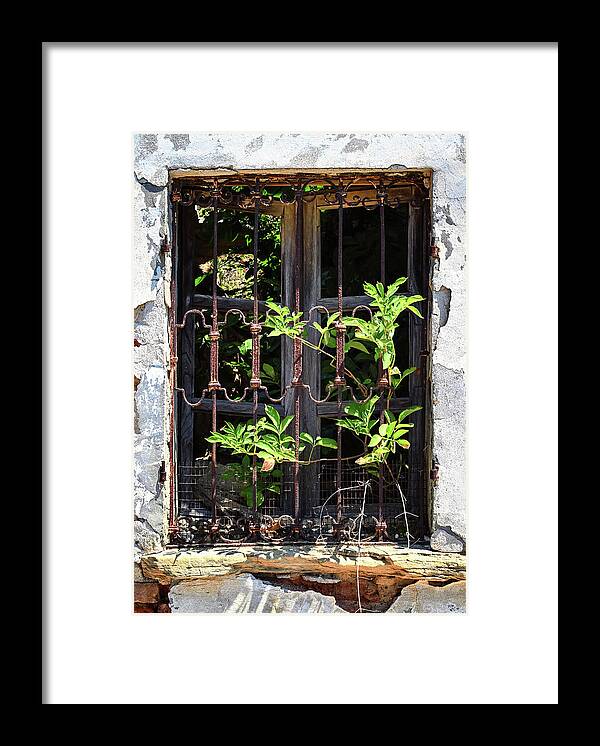 Ruin Framed Print featuring the photograph Inside Out by Steven Nelson