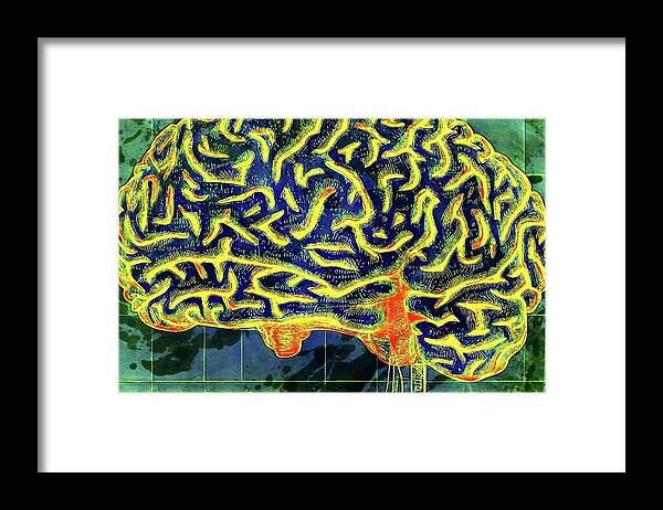 Brain Framed Print featuring the digital art Into The Mind by Ally White