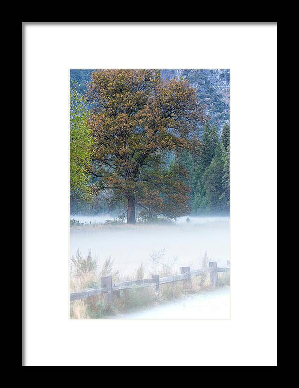 Landscape Framed Print featuring the photograph Into The Mist - Yosemite NP by Sandra Bronstein