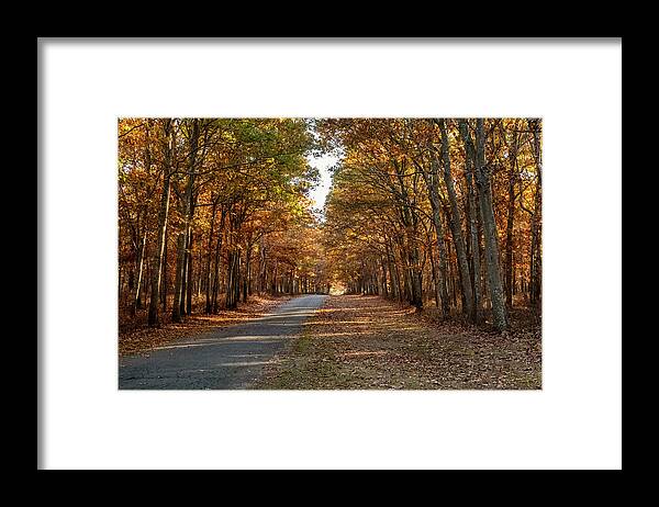 Autumn Framed Print featuring the photograph Into The Woods by Cathy Kovarik
