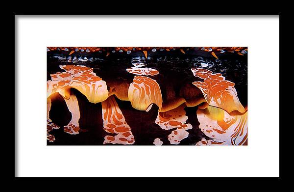 Oyster Framed Print featuring the photograph Intricate invertebrate by Artesub