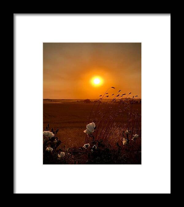 Iphonography Framed Print featuring the photograph iPhonography Sunset 1 by Julie Powell